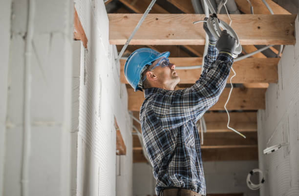 Best Ceiling Fan Installation Electrician  in Montrose, MN