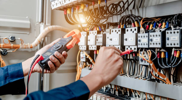 Best Home Electrical Repair  in Montrose, MN