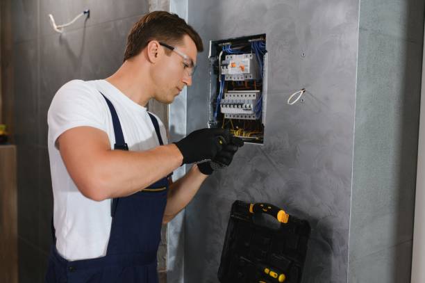 Best Electrician Near Me  in Montrose, MN